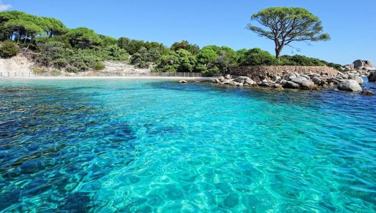 Nouvel Location D'Un Bel Appart T2 Climatise Et Meuble Au Rdch Avec Piscine Dans Residence Les Melody Santa-Maria-Poggio  Esterno foto